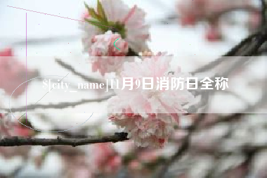 兴安盟11月9日消防日全称