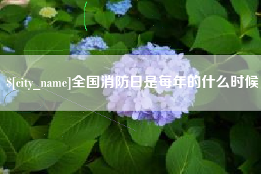兴安盟全国消防日是每年的什么时候