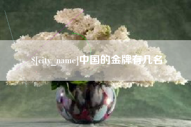 兴安盟中国的金牌有几名