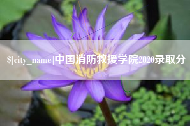 兴安盟中国消防救援学院2020录取分