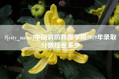兴安盟中国消防救援学院2019年录取分数线是多少