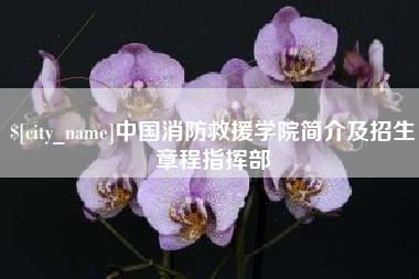 兴安盟中国消防救援学院简介及招生章程指挥部