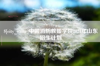 兴安盟中国消防救援学院2021年山东招生计划