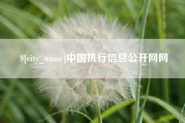 兴安盟中国执行信息公开网网