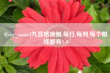 兴安盟九宫格规则,每行,每列,每个粗线都有1-9