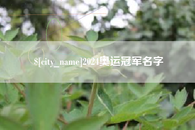 兴安盟2024奥运冠军名字