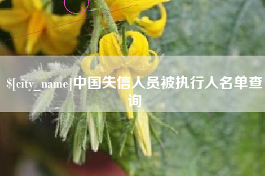 兴安盟中国失信人员被执行人名单查询