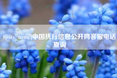 兴安盟中国执行信息公开网客服电话查询