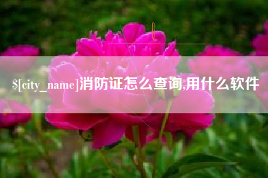 兴安盟消防证怎么查询,用什么软件
