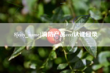 兴安盟消防产品cccf认证目录