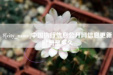 兴安盟中国执行信息公开网信息更新时间是多久