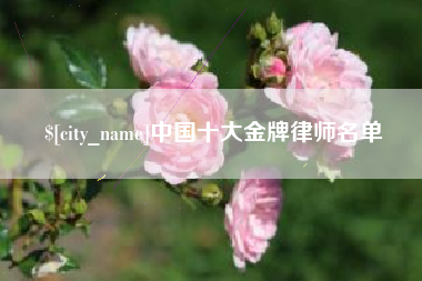 兴安盟中国十大金牌律师名单