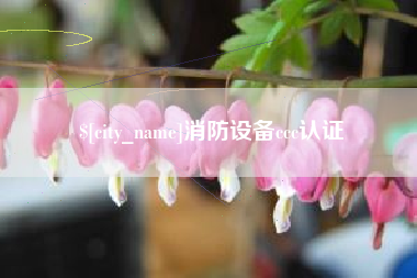 兴安盟消防设备ccc认证