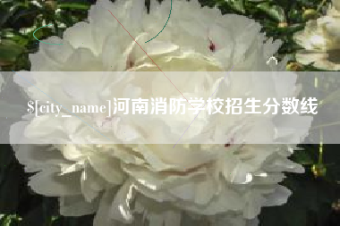 兴安盟河南消防学校招生分数线