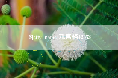 兴安盟九宫格42633