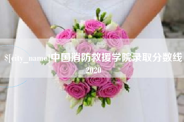 兴安盟中国消防救援学院录取分数线2020