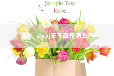 兴安盟王子豪是怎么写