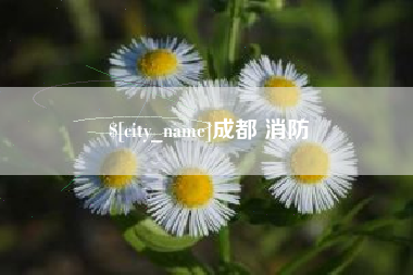 兴安盟成都 消防