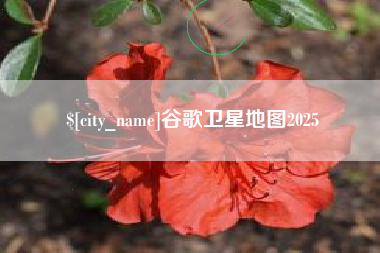 兴安盟谷歌卫星地图2025