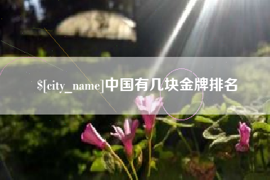 兴安盟中国有几块金牌排名