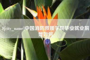 兴安盟中国消防救援学院毕业就业前景如何