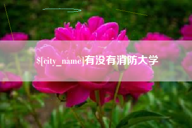 兴安盟有没有消防大学