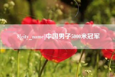 兴安盟中国男子5000米冠军