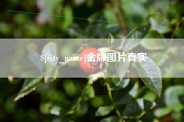 兴安盟金牌图片真实