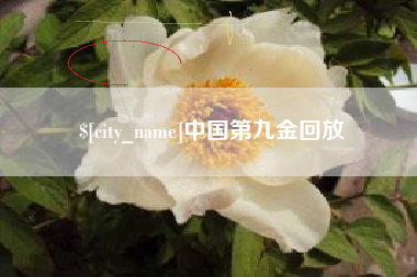 兴安盟中国第九金回放