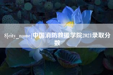 兴安盟中国消防救援学院2021录取分数