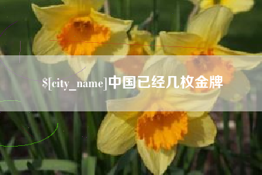兴安盟中国已经几枚金牌