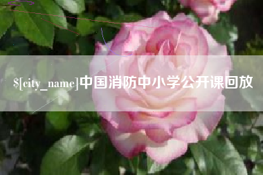 兴安盟中国消防中小学公开课回放
