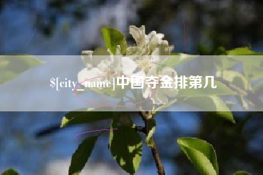 兴安盟中国夺金排第几