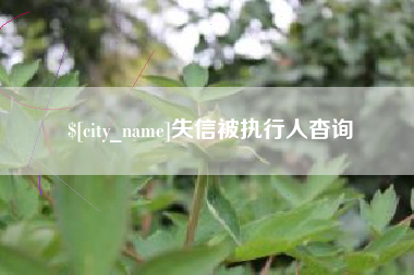 兴安盟失信被执行人杳询