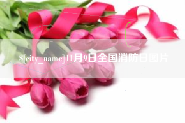 兴安盟11月9日全国消防日图片