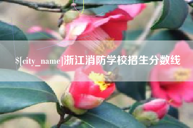 兴安盟浙江消防学校招生分数线