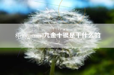 兴安盟九金十银是干什么的