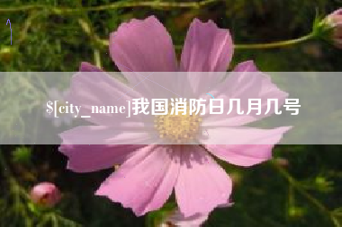 兴安盟我国消防日几月几号