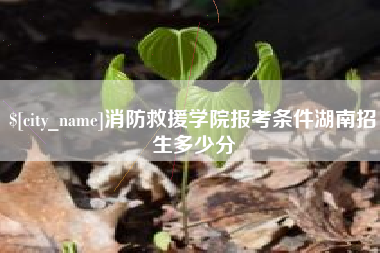 兴安盟消防救援学院报考条件湖南招生多少分