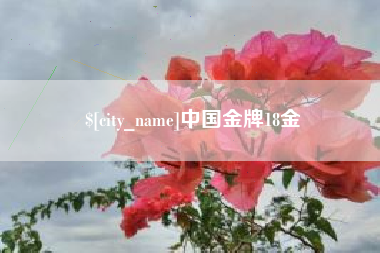 兴安盟中国金牌18金
