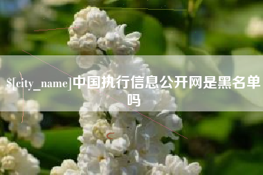 兴安盟中国执行信息公开网是黑名单吗