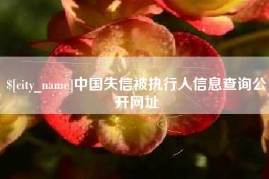 兴安盟中国失信被执行人信息查询公开网址