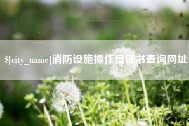 兴安盟消防设施操作员证书查询网址