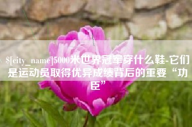 兴安盟5000米世界冠军穿什么鞋-它们是运动员取得优异成绩背后的重要“功臣”