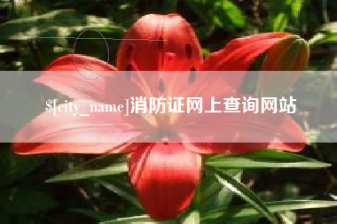 兴安盟消防证网上查询网站