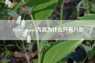 兴安盟九宫为什么只有八卦