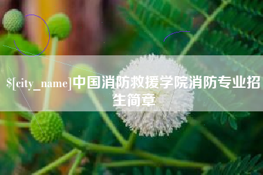 兴安盟中国消防救援学院消防专业招生简章