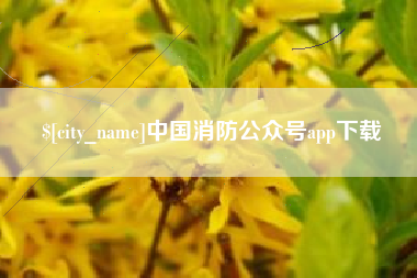 兴安盟中国消防公众号app下载