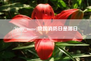 兴安盟我国消防日是哪日
