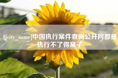 兴安盟中国执行案件查询公开网都是执行不了得案子